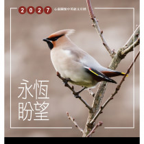 永恆盼望(月曆)-心靈關懷月曆2027